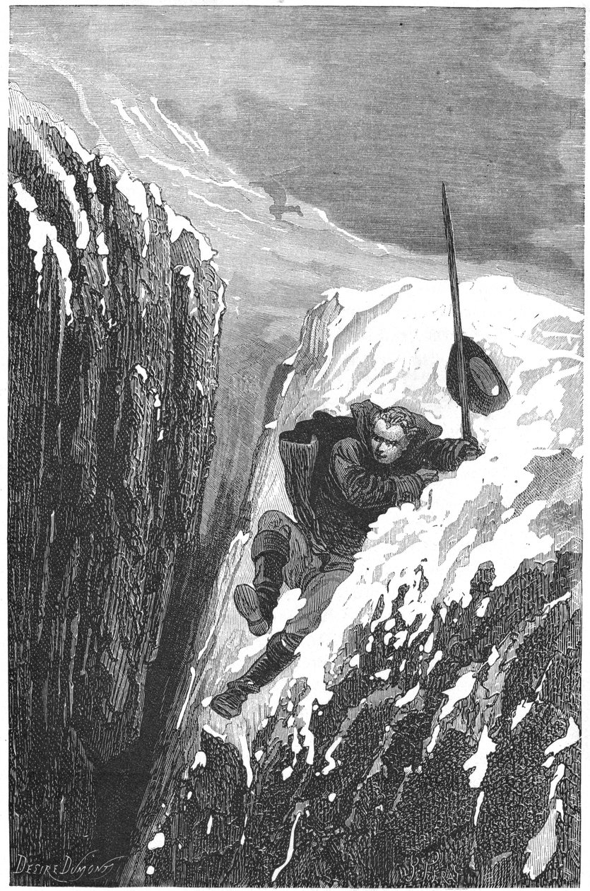 Carolus Linnaeus, científico y naturalista sueco del siglo XVIII, 1874 de Unbekannt