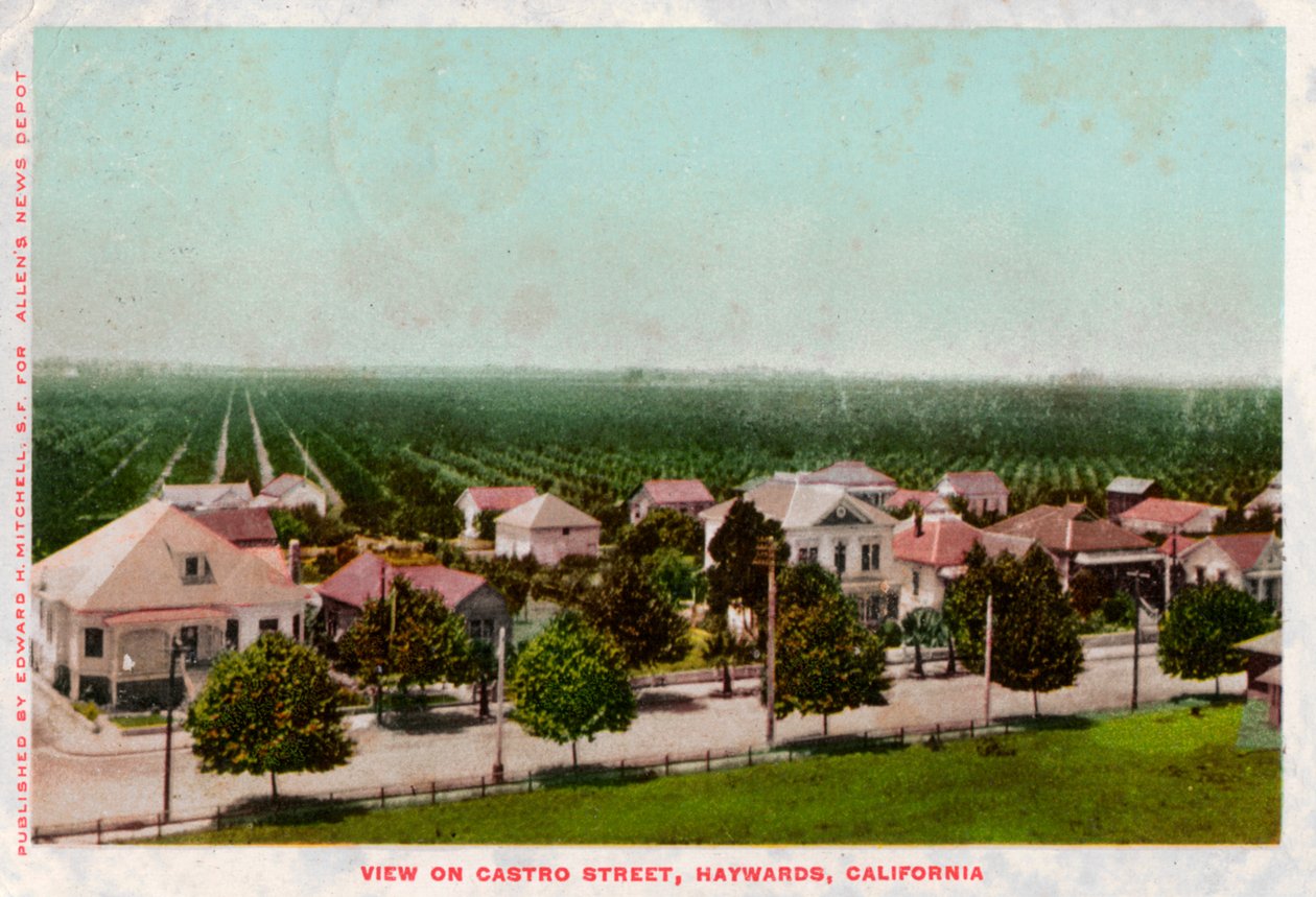 Calle Castro, Hayward, California, 1905 de Unbekannt