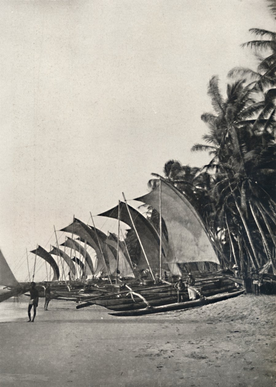 Barcos de pesca cingaleses con estabilizador, 1926 de Unbekannt