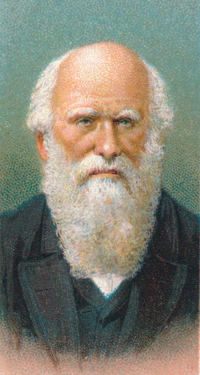 Charles Darwin 1809-1882, naturalista británico, 1924 de Unbekannt