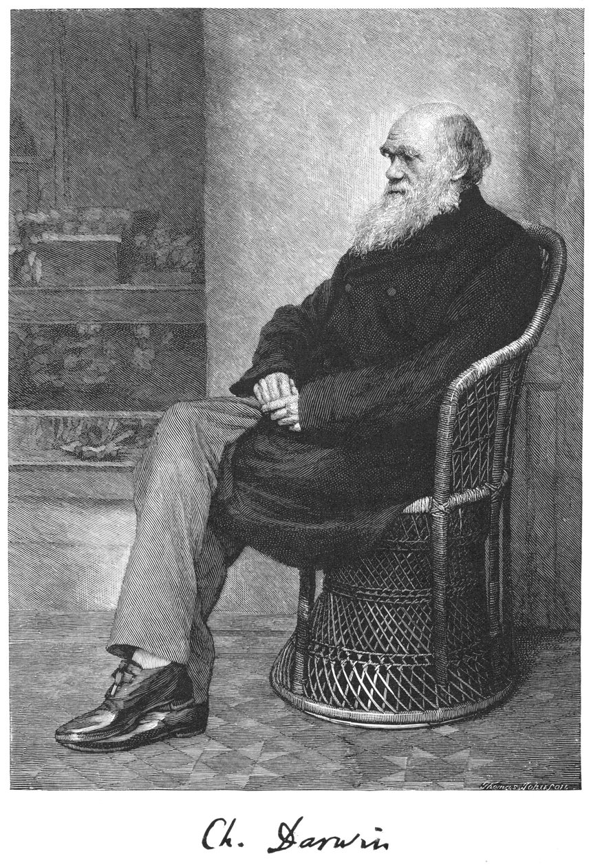 Charles Darwin, naturalista inglés, 1883 de Unbekannt