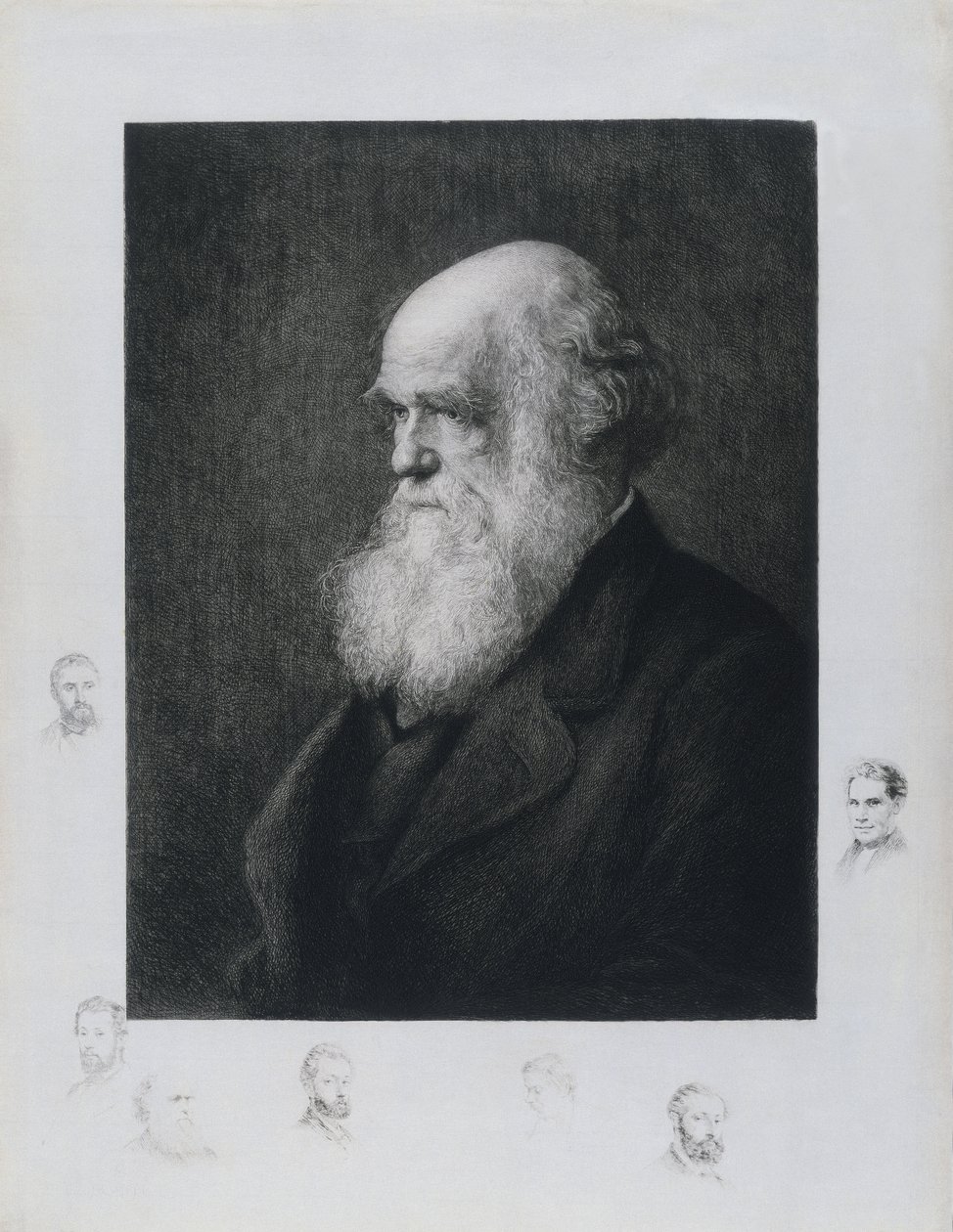 Charles Darwin, naturalista inglés, c 1860s de Unbekannt