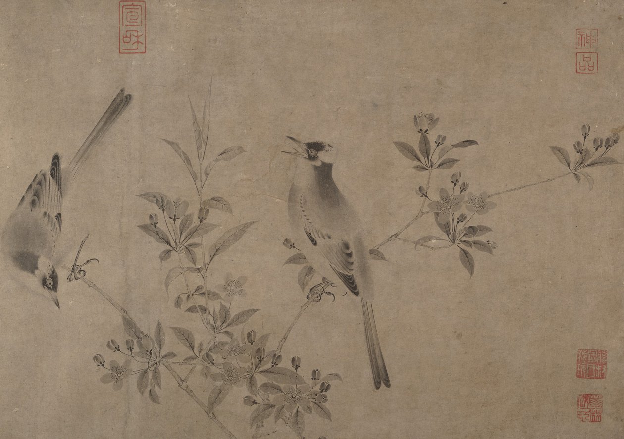Bulbul chino en cerezo en flor de Unbekannt
