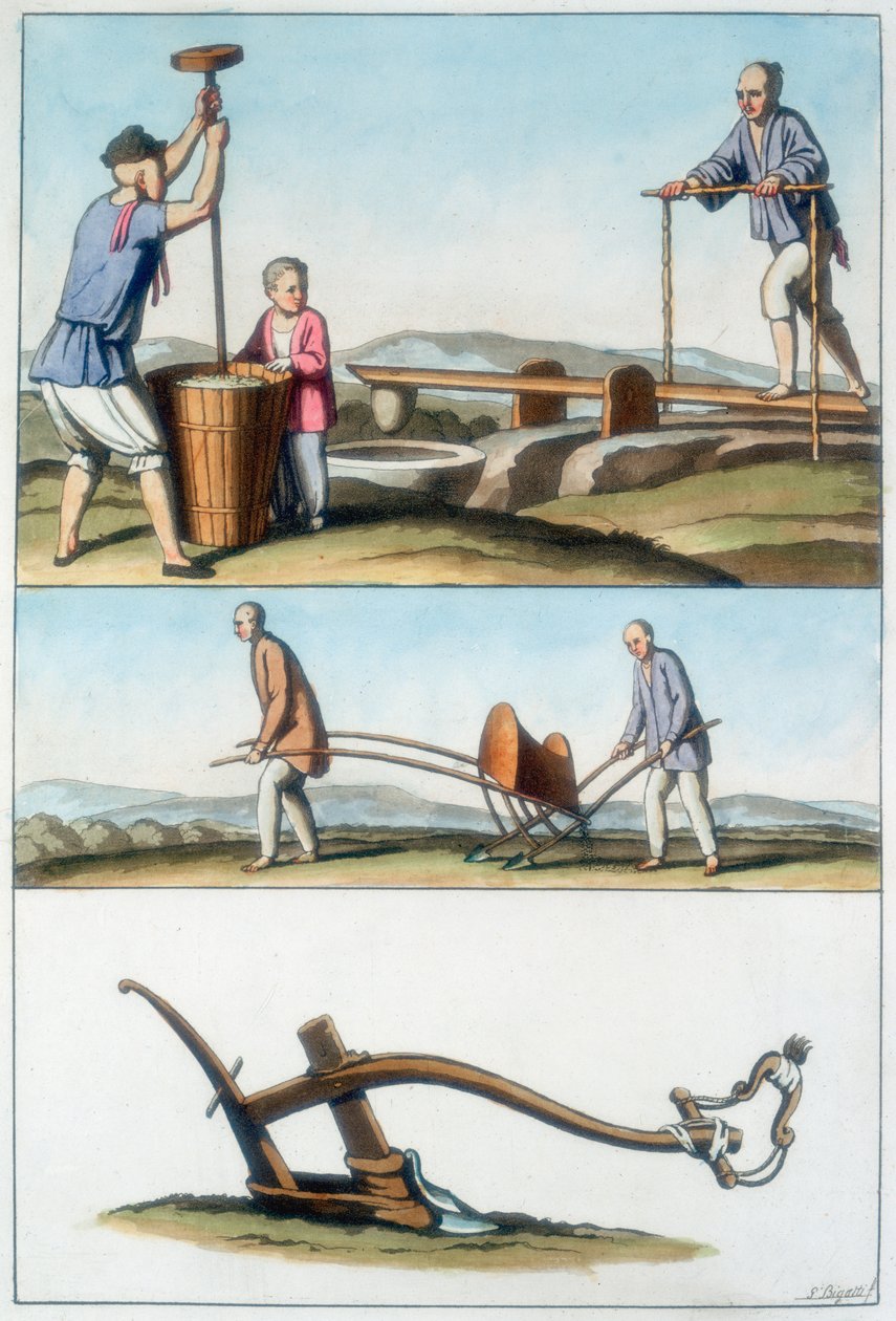 Agricultura china, 1825-1835 de Unbekannt
