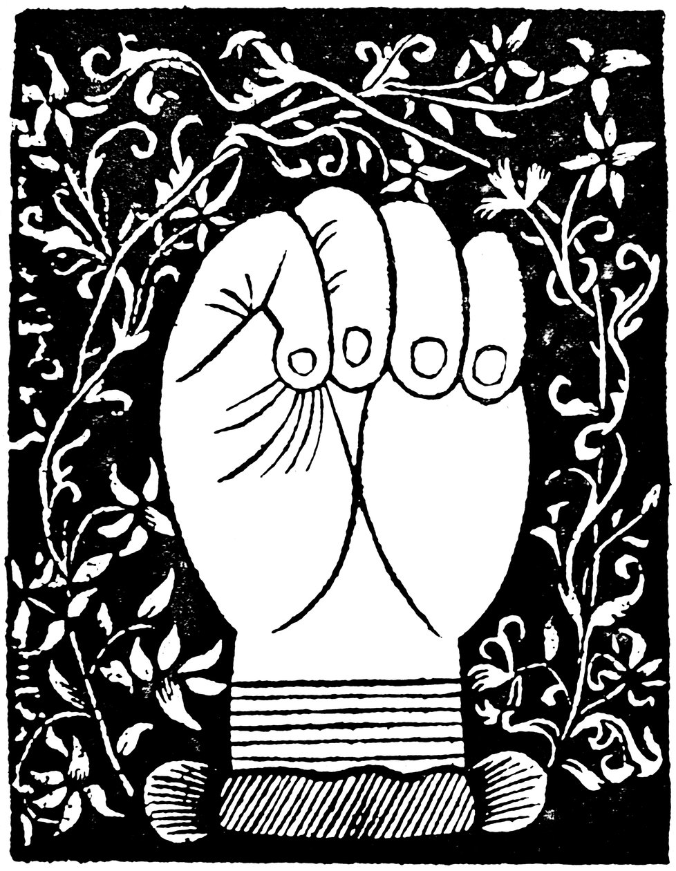 Quiromancia: Líneas de la mano cerrada de Andre Corvo L