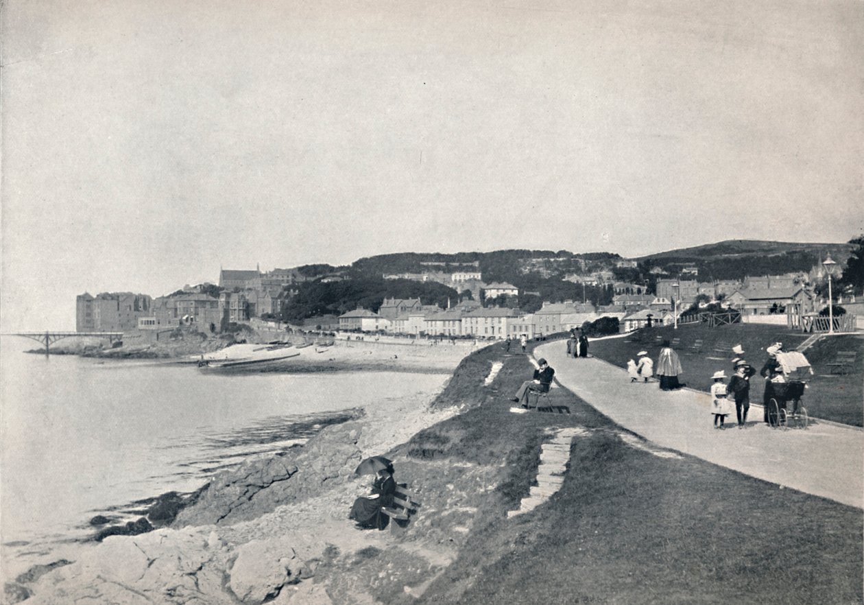 Clevedon - La Playa Verde, 1895 de Unbekannt