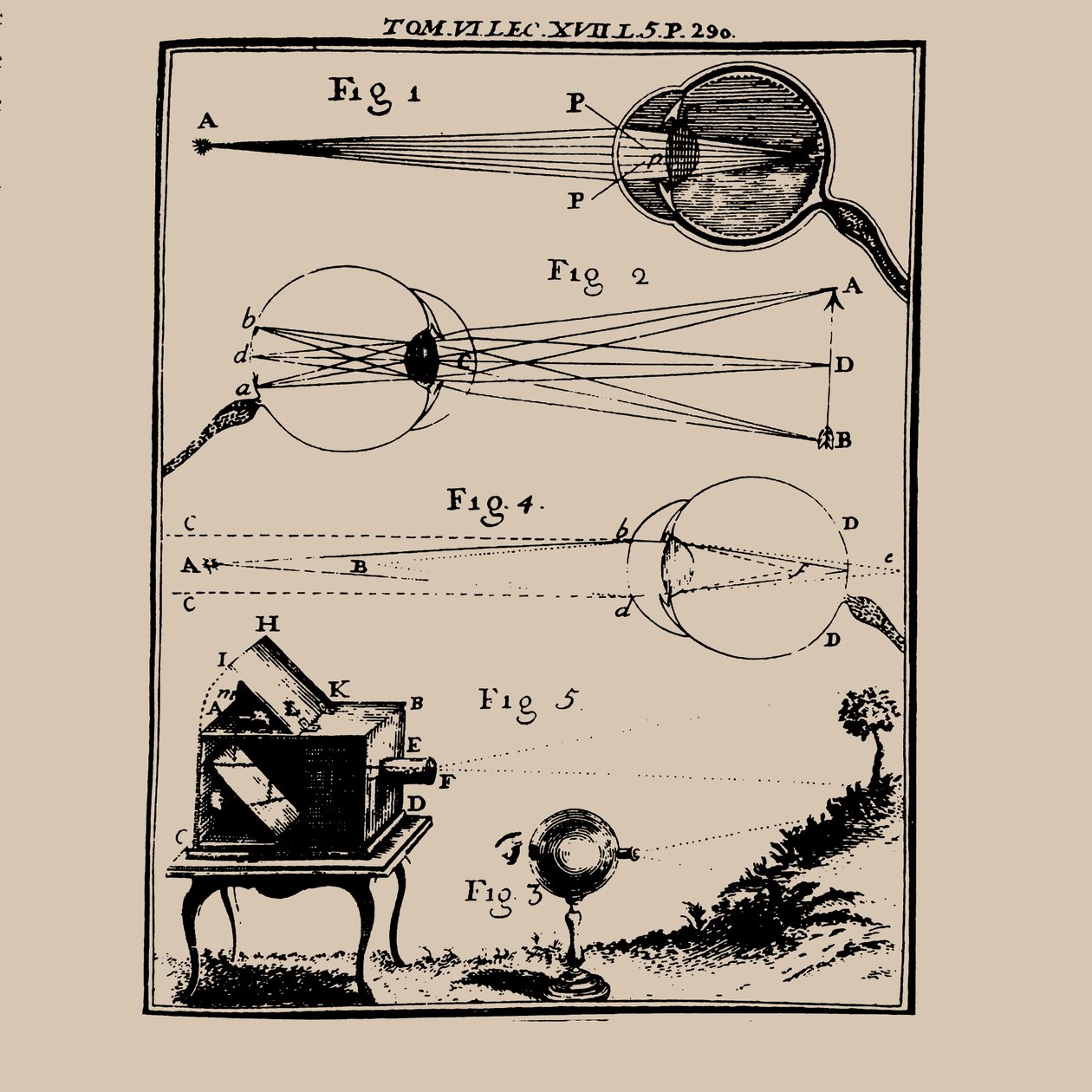 Representación comparativa del ojo humano y la cámara oscura, siglo XVIII de Unbekannt