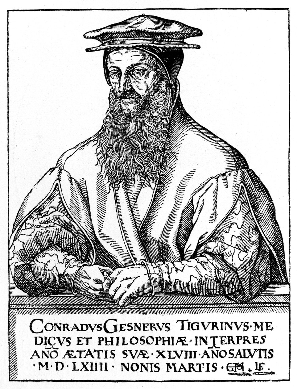 Conrad Gessner, naturalista suizo, 1887 de Unbekannt