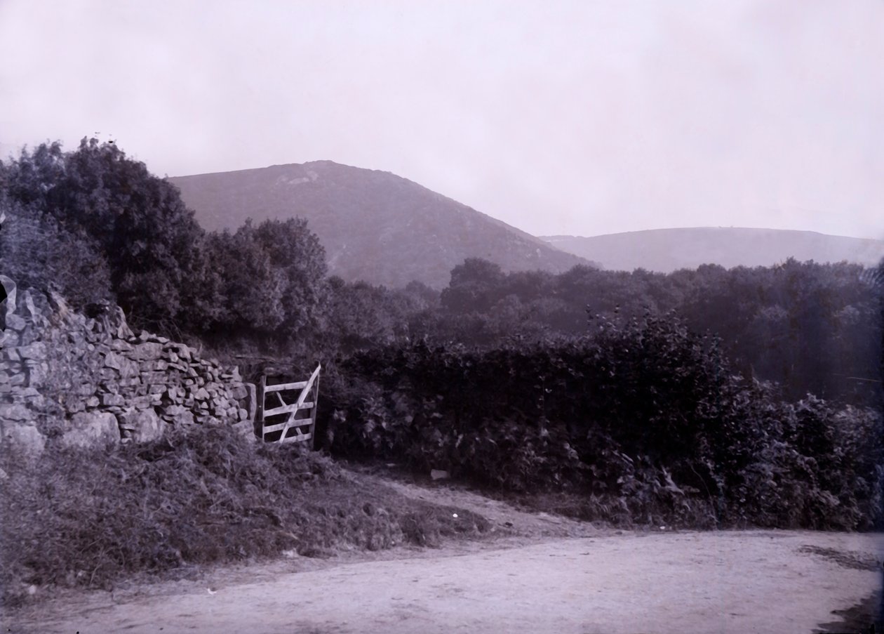 Campo cerca de Plymouth en Devon de Unbekannt