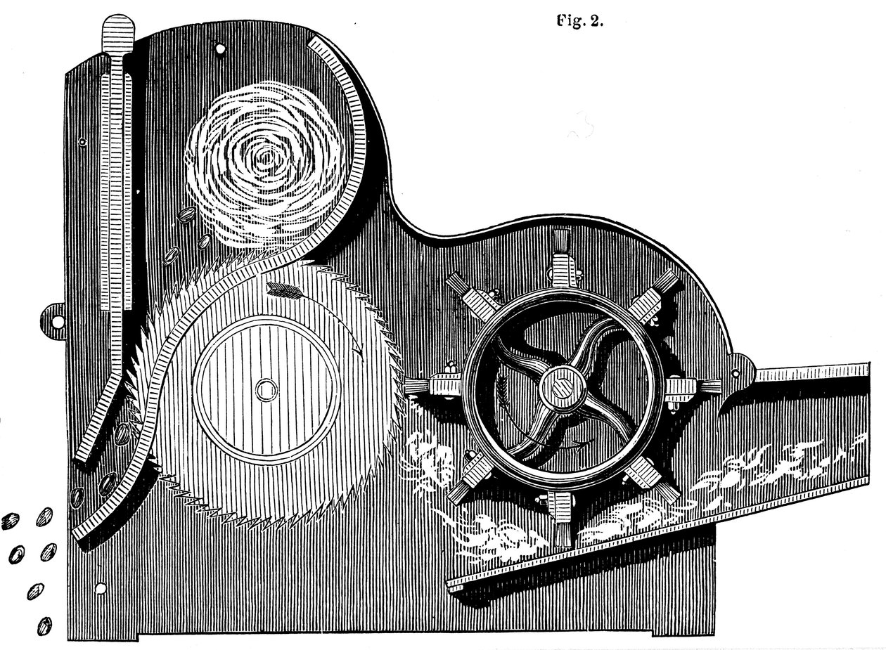 Sección transversal de la desmotadora de algodón de Eli Whitney, 1765-1825, 1865 de Unbekannt