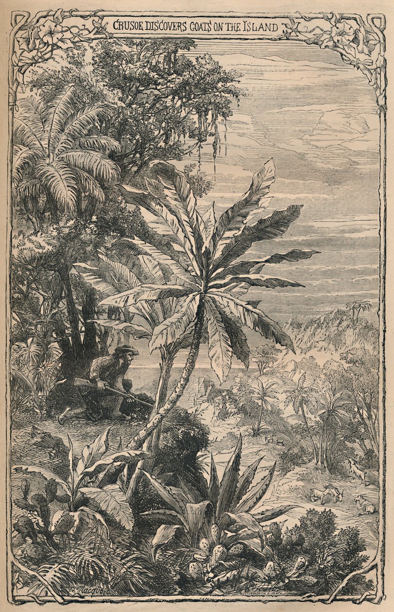Crusoe descubre cabras en la isla, c1870 de Unbekannt