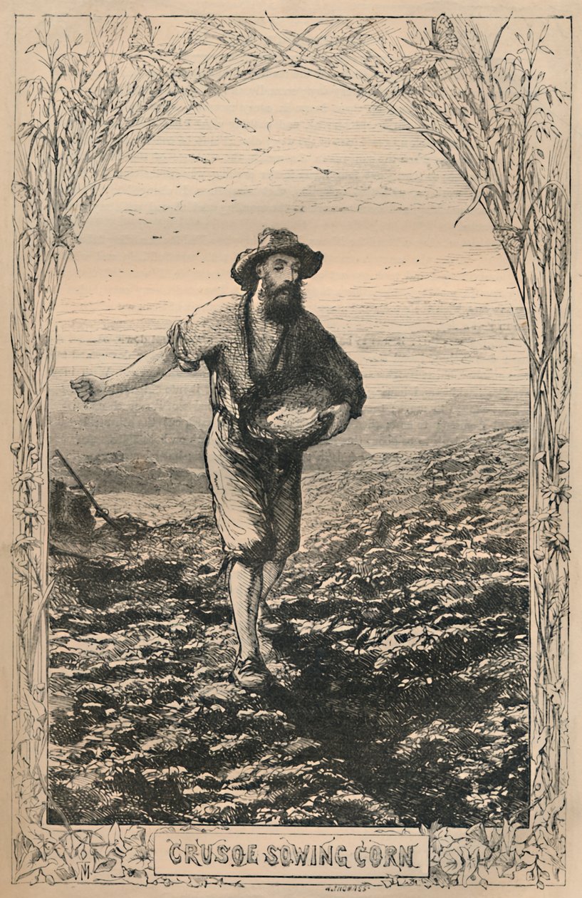 Crusoe sembrando maíz, c1870 de Unbekannt