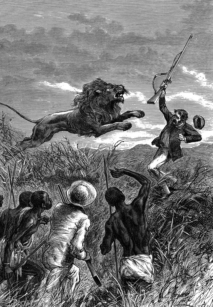 David Livingstone, misionero escocés y explorador africano, siendo atacado por un león, c1860 de Unbekannt
