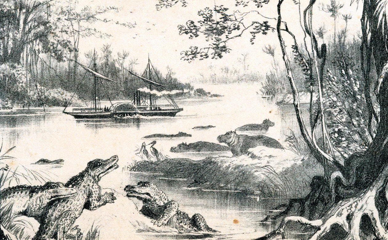 David Livingstone navegando el Zambezi, África, 1852-1864, c1878 de Unbekannt