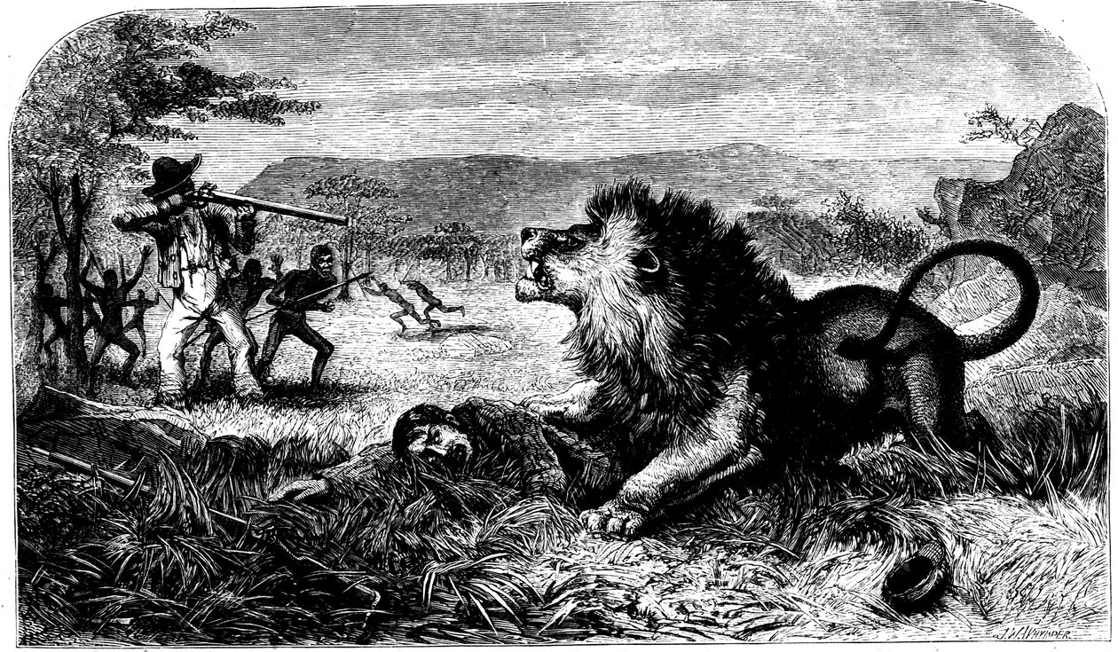 David Livingstone, salvado de un león por Mebalwe, un maestro de escuela nativo, 1857 de Unbekannt