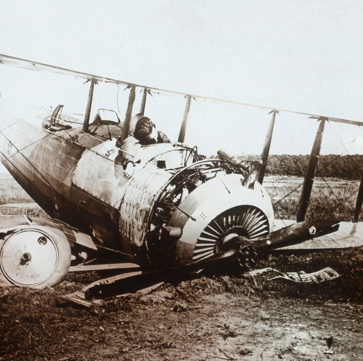 Piloto muerto en avión Salmson derribado, c1914-c1918 de Unbekannt