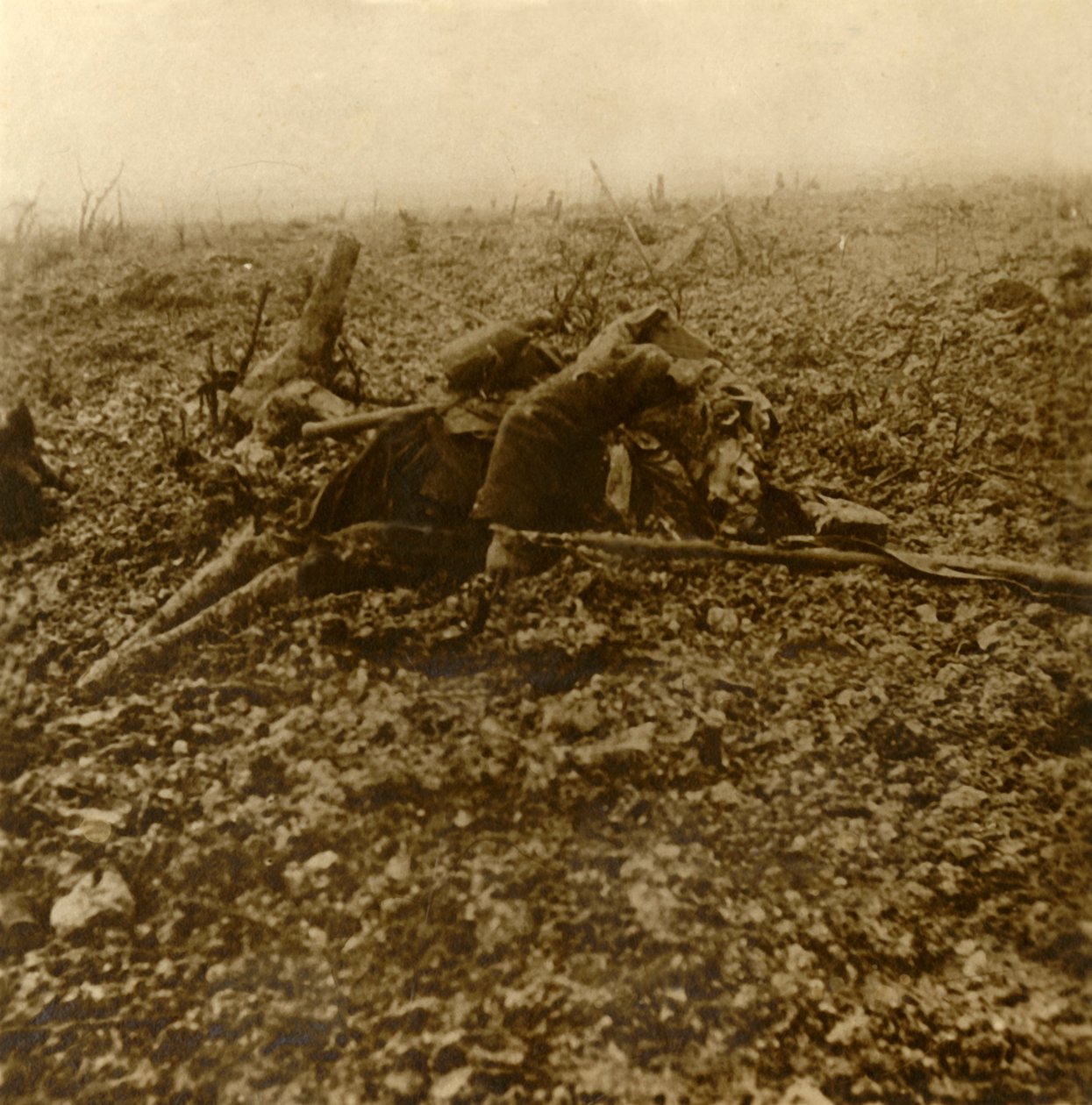 Soldado muerto en la Colina 304, después de la Batalla de Verdún, norte de Francia, 1916 de Unbekannt