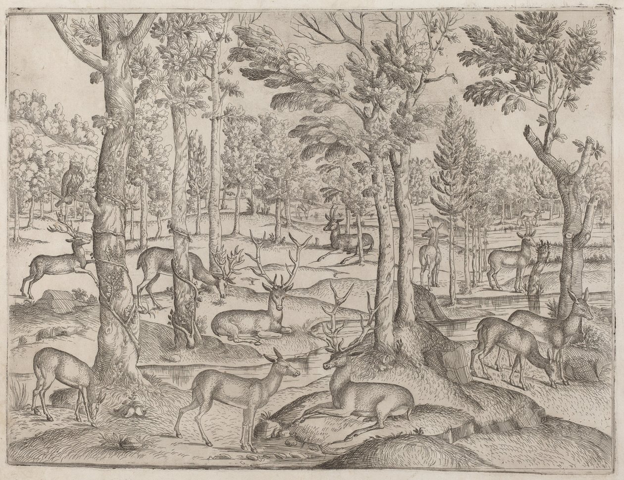 Ciervos en el bosque, c. 1520 de Unbekannt