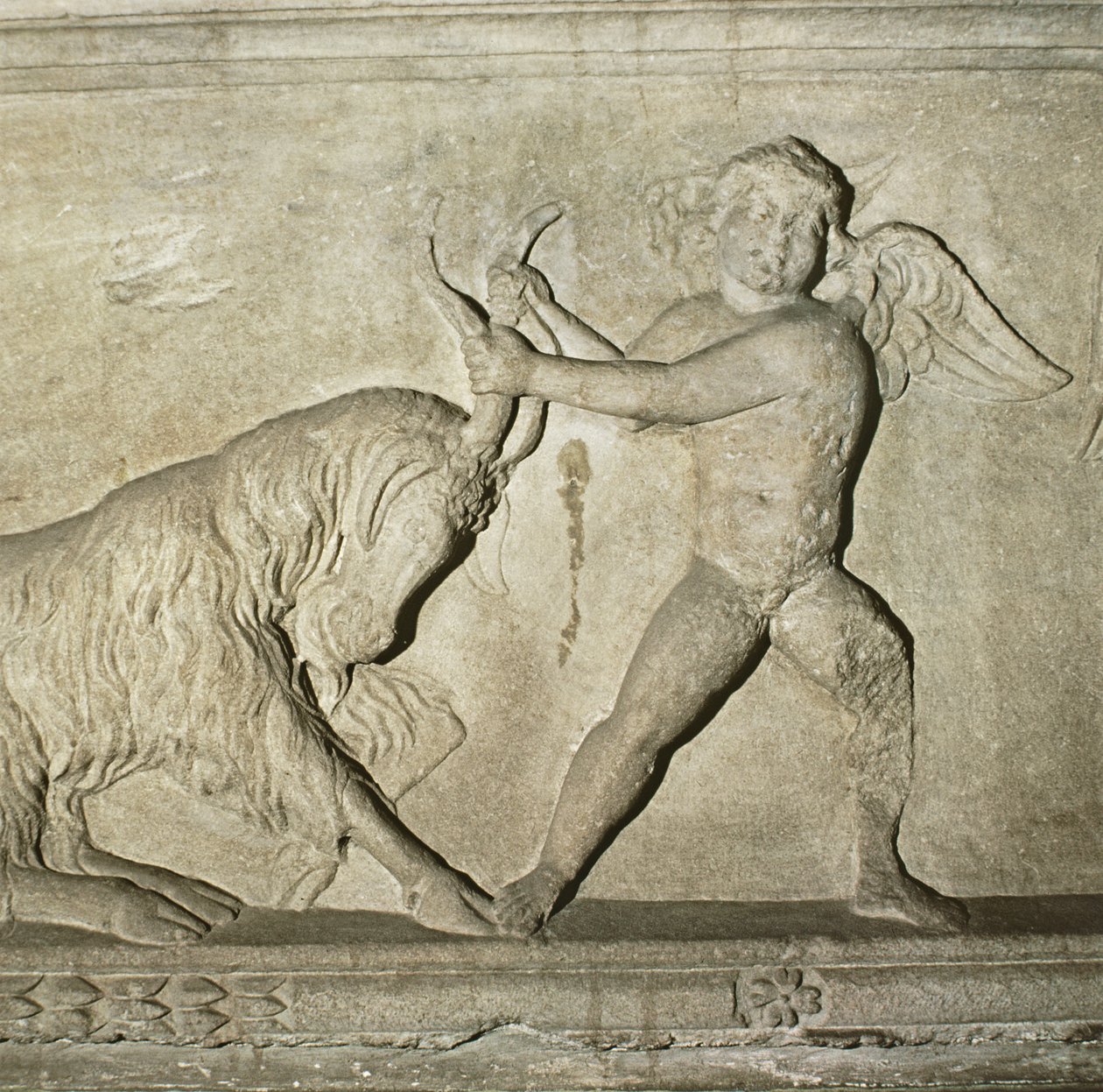 (detalle) de un sarcófago griego de Lidia, que representa a un putto luchando con una cabra de Unbekannt