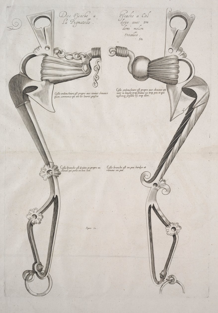Diagrama para el Bocado del Caballo, 1700s de Unbekannt