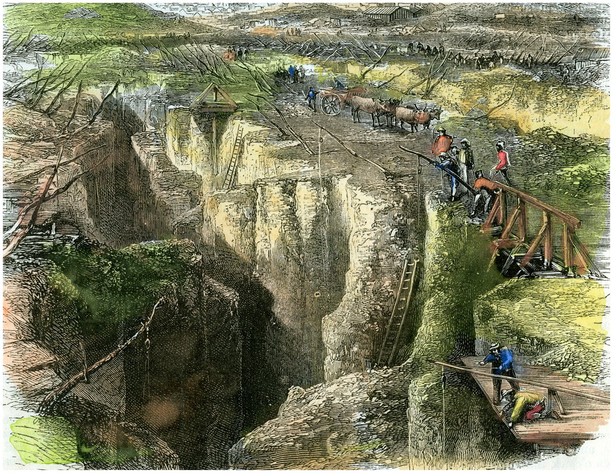 Campo de diamantes, c1880 de Unbekannt