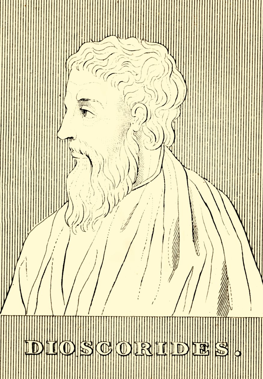 Dioscórides, c40-90 AD de Unbekannt