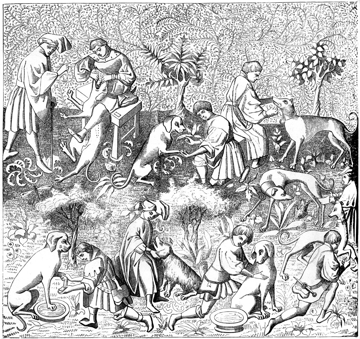 Enfermedades de los perros y sus curas, siglo XIV de Unbekannt