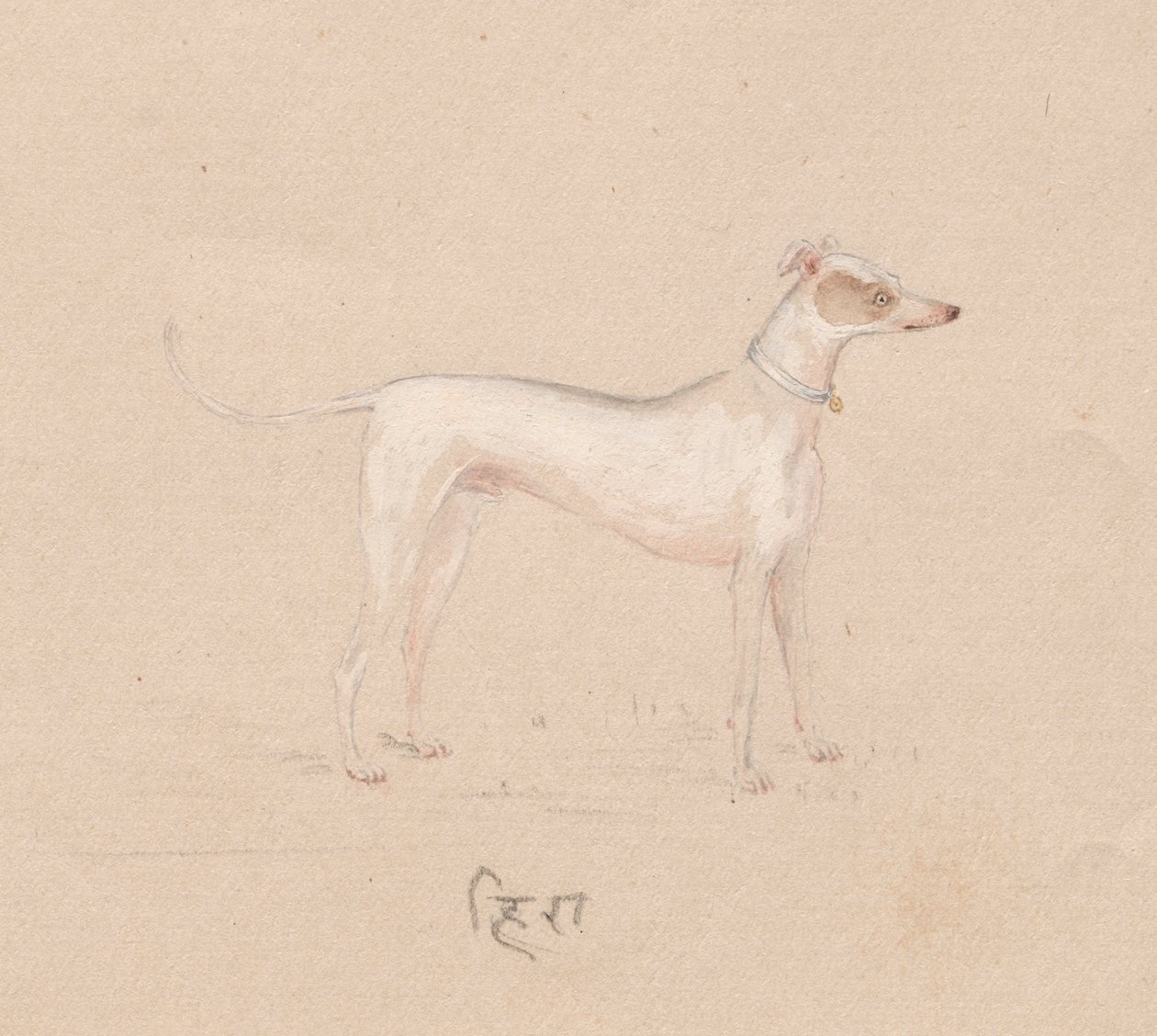 Perro, 1800s de Unbekannt