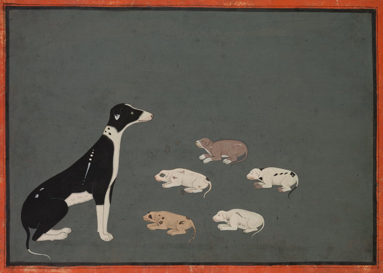 Perro con cachorros, c. 1780 de Unbekannt
