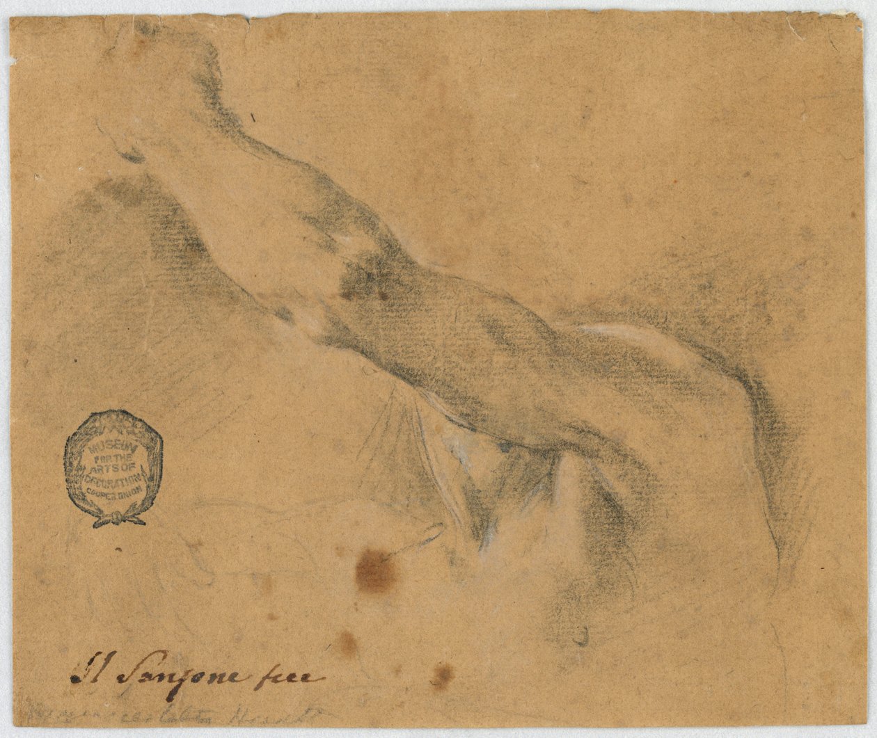 Dibujo, Estudio - El brazo izquierdo y las partes vecinas del cuerpo de un hombre anciano de Unbekannt