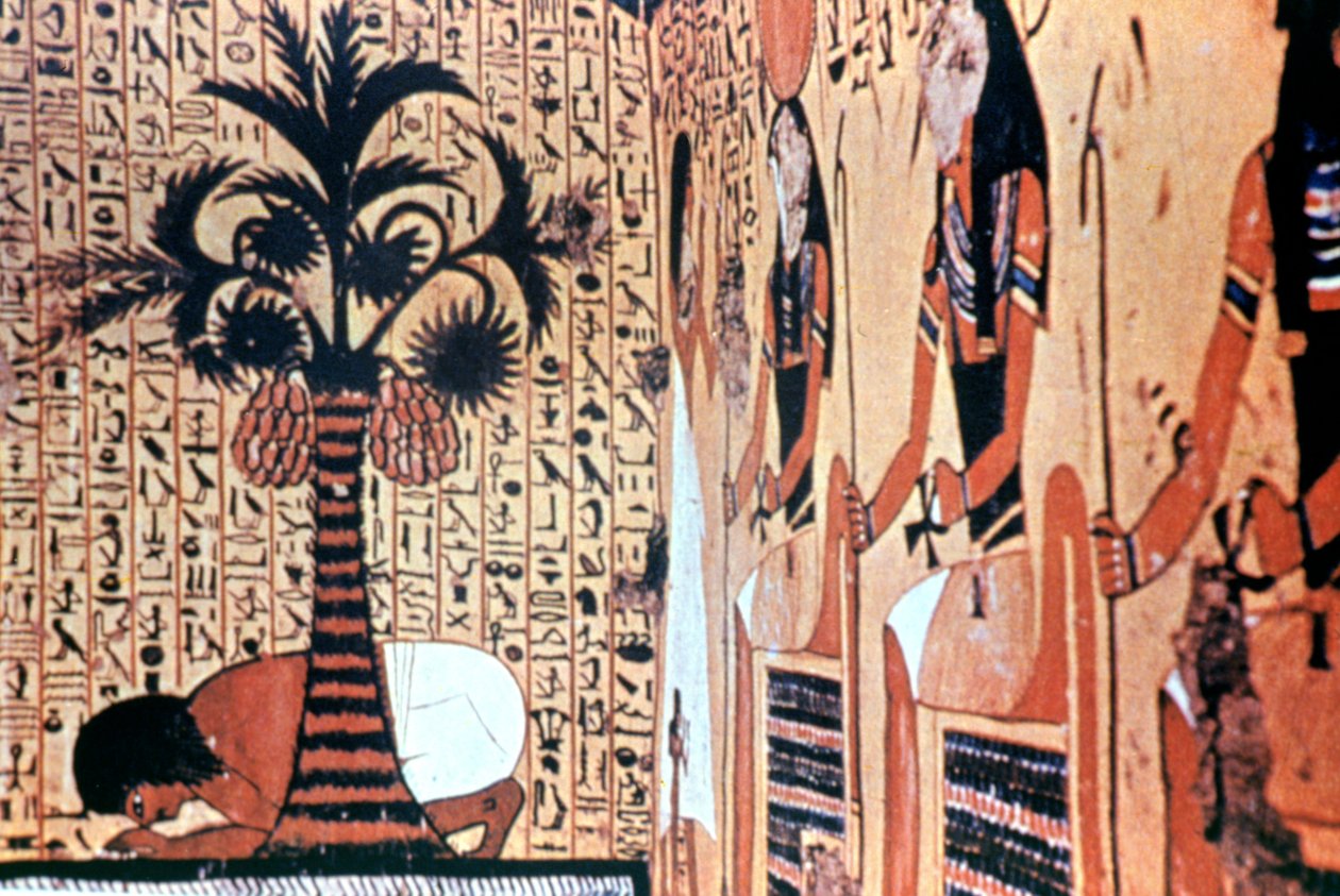 Bebiendo del río, pintura mural del templo, Tebas, Egipto de Unbekannt