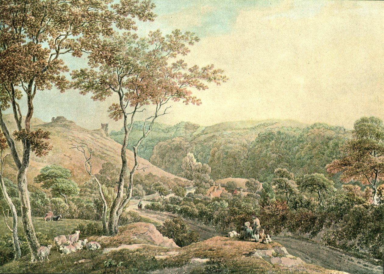 Castillo de Drusllwyn, Caermarthenshire, c1900 de Unbekannt