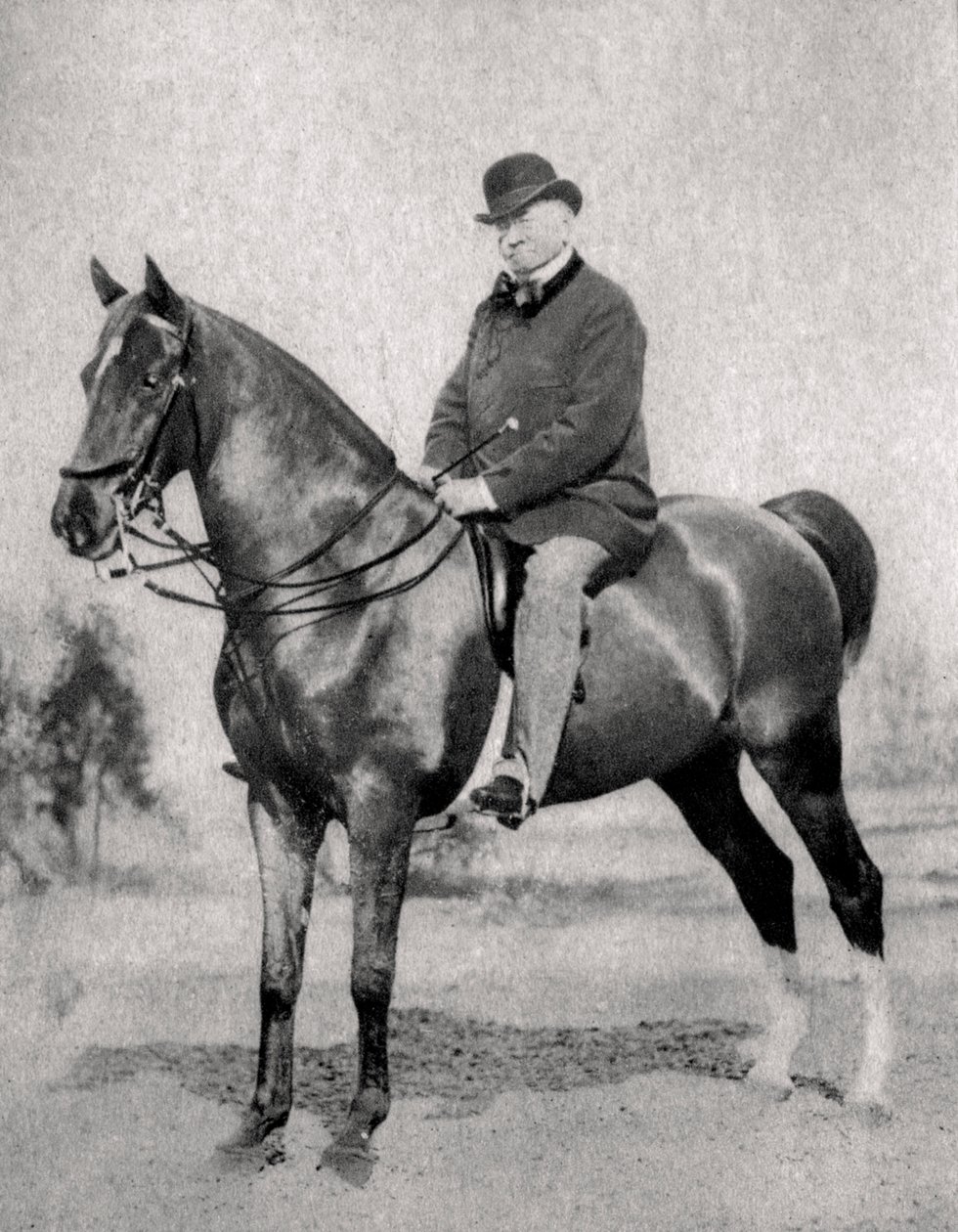 Emile de Girardin, periodista, publicista y político francés, 1866 de Unbekannt