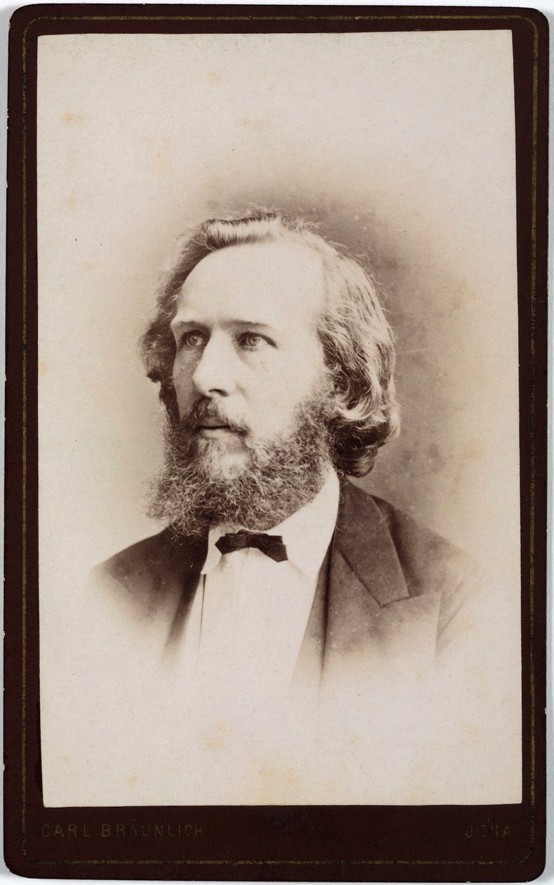 Ernst Haeckel, naturalista alemán, c 1860s de Unbekannt