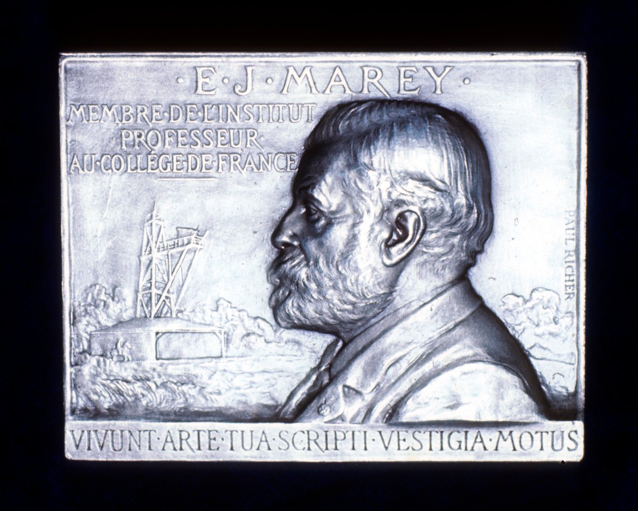 Etienne Jules Marey 1830-1903, fisiólogo francés, siglo XIX de Unbekannt