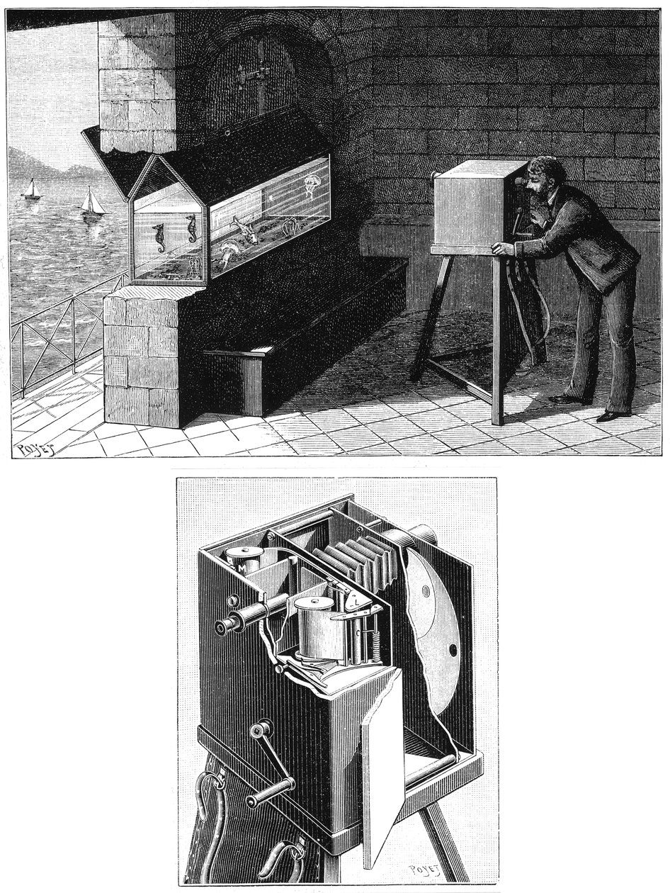 Etienne Jules Marey con cámara de cine, 1903 de Unbekannt