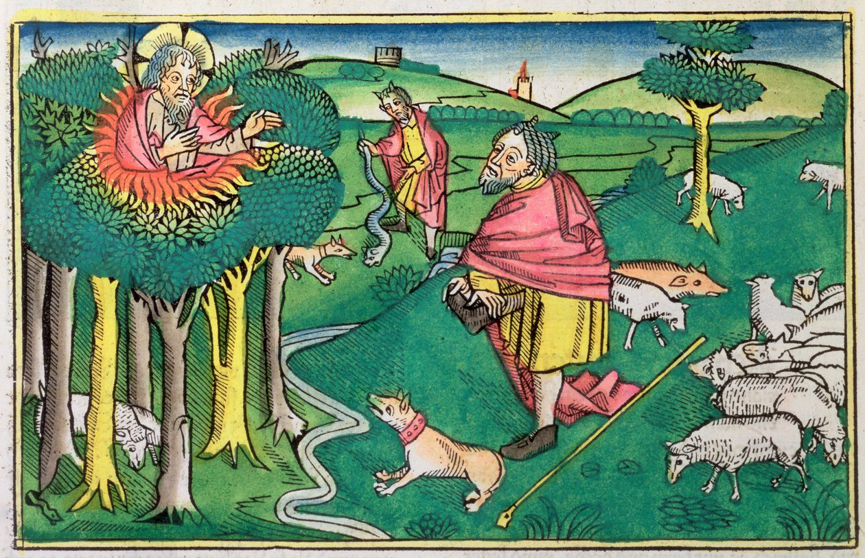 Éxodo 3:1-22 y 4:1-4: la zarza ardiente y Dios armando a Moisés con la vara milagrosa de Unbekannt