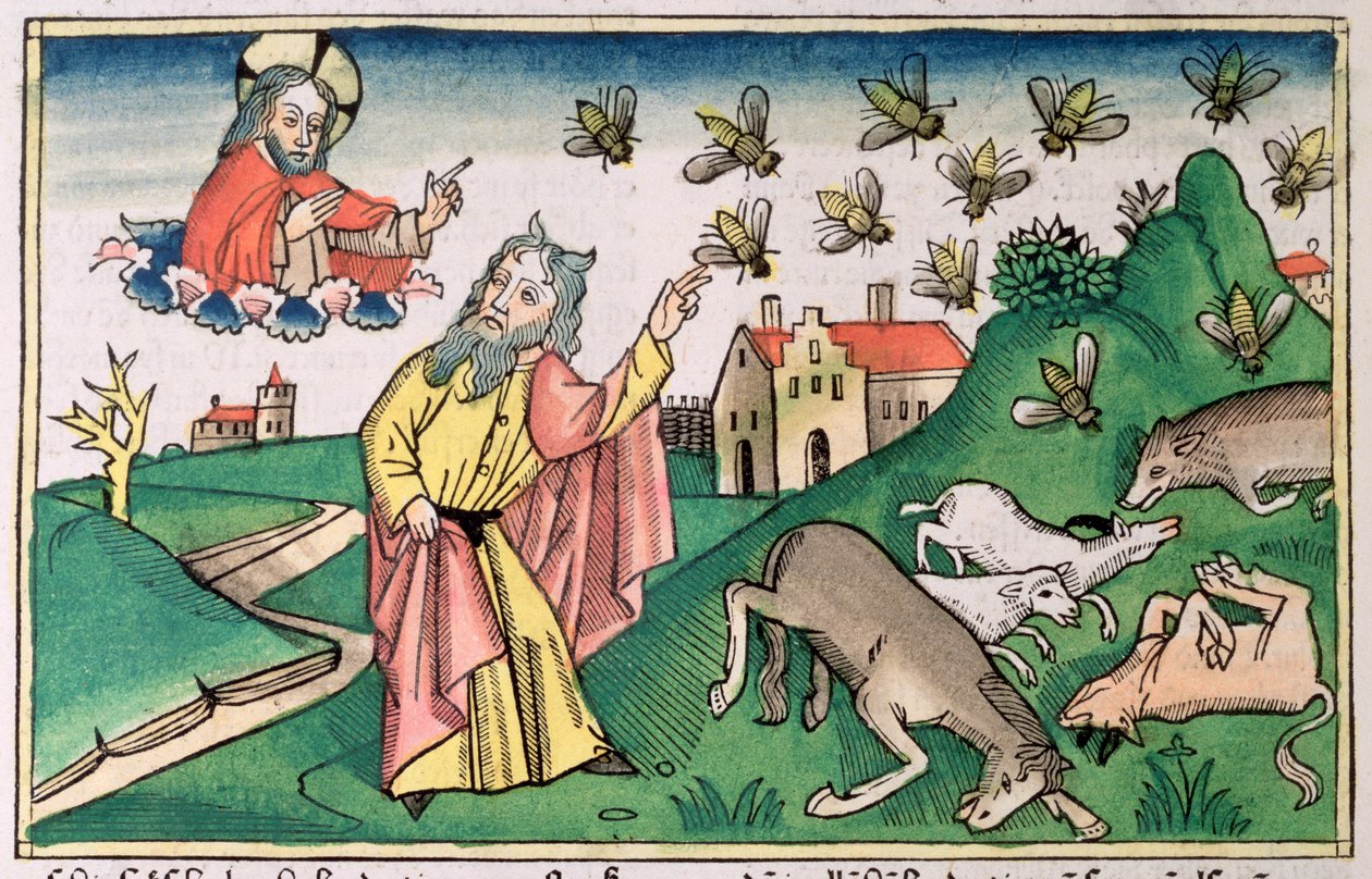 Éxodo 8:20-32: Moisés y la plaga de moscas, una de las Siete Plagas de Egipto de Unbekannt