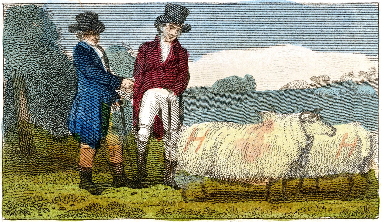 Agricultores discutiendo sobre ovejas Dishley New Leicester, 1822 de Unbekannt