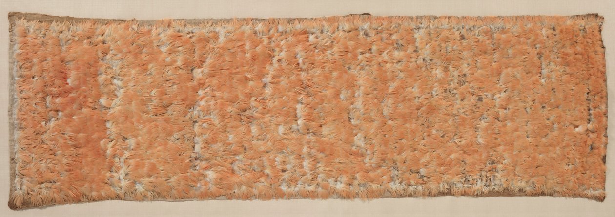 Panel emplumado, 600-1500 de Unbekannt
