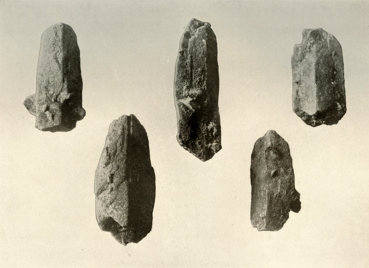Cristales de feldespato del Summit del Monte Erebus Tamaño Natural, 1909 de Unbekannt