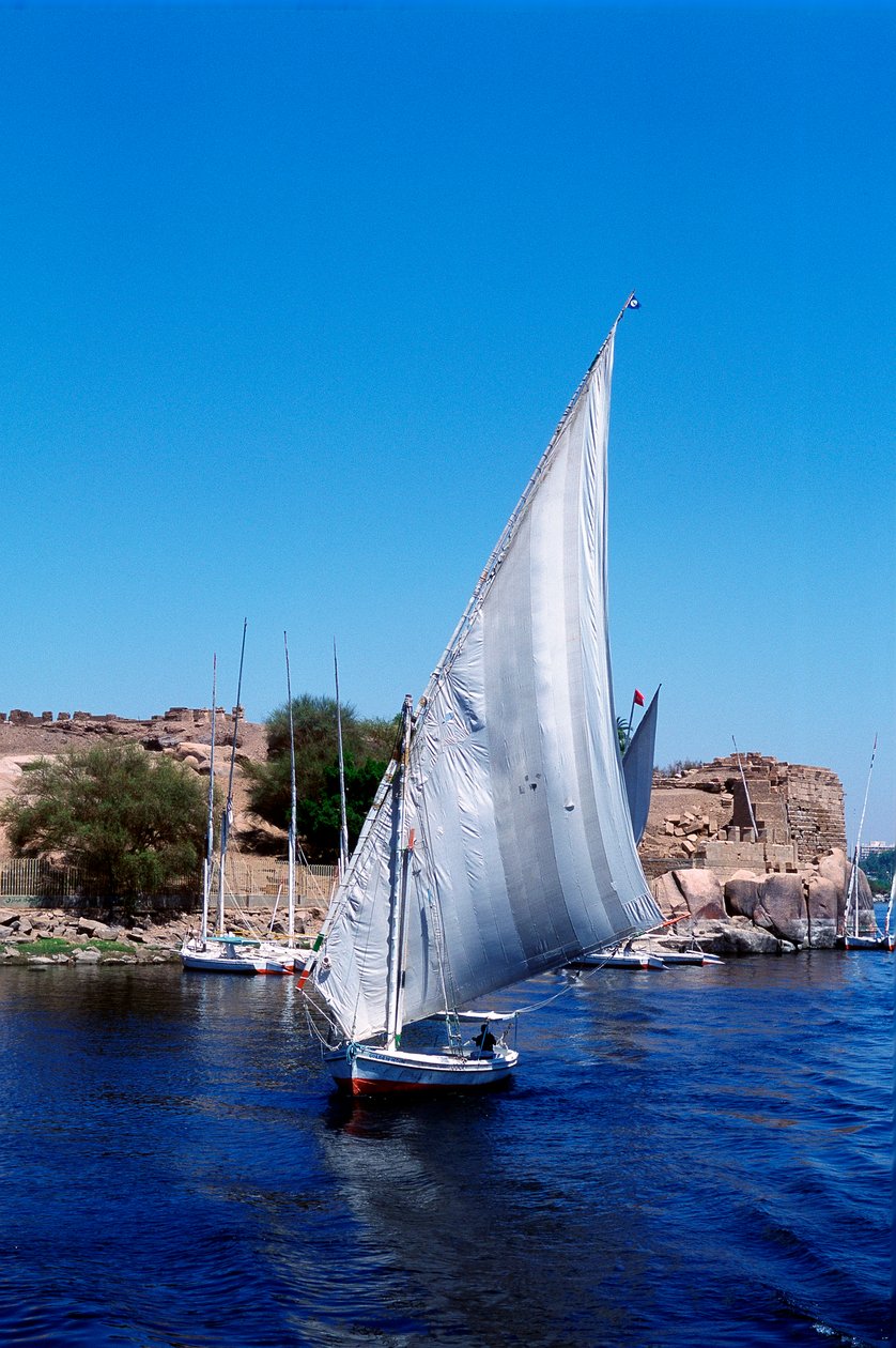 Feluccas en el Nilo, Isla Elefantina cerca de Asuán, Egipto moderno de Unbekannt