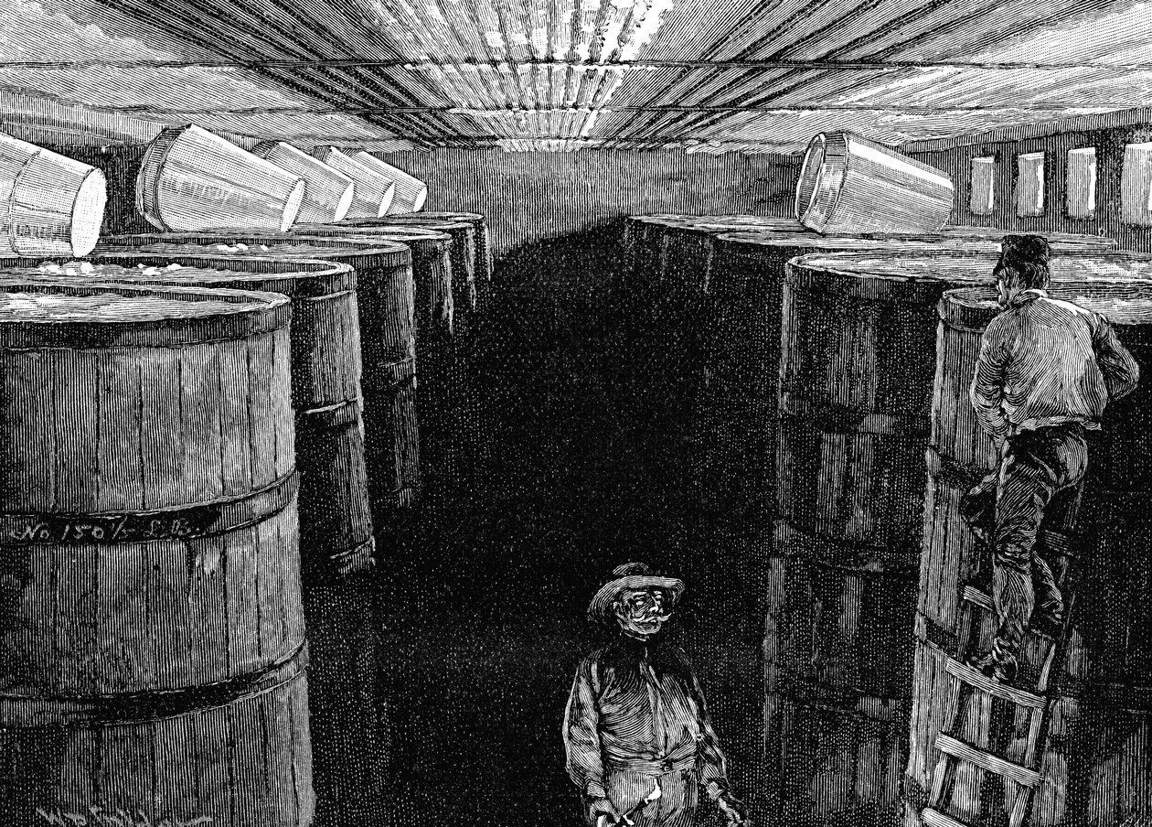 Bodega de fermentación en una cervecería americana, 1885 de Unbekannt