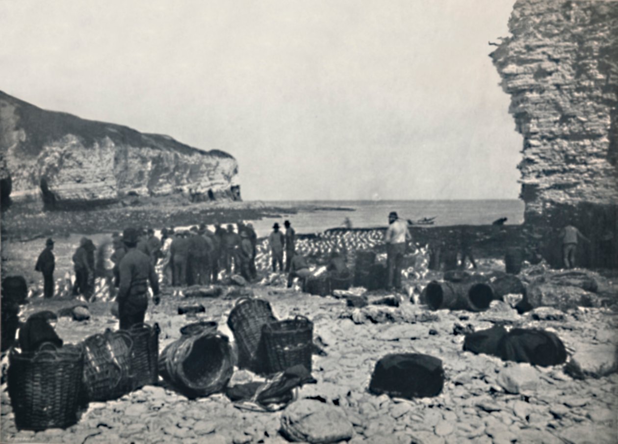 Flamborough - Los pescadores en el trabajo, 1895 de Unbekannt