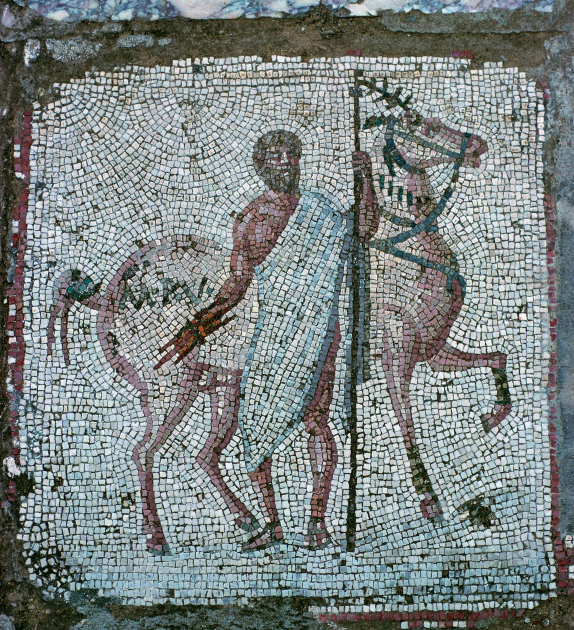 Mosaico de suelo de una villa romana de Unbekannt