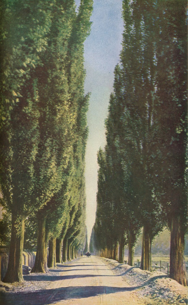 Francia, c1930s de Unbekannt