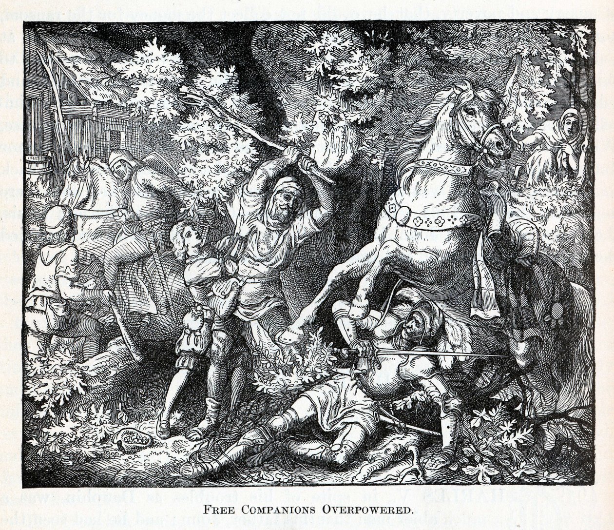Compañeros libres dominados, 1882 de Unbekannt