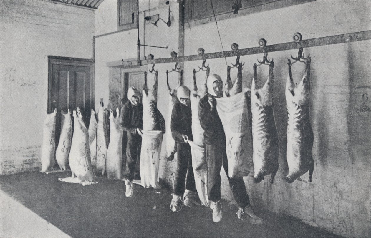 Carne congelada, 1923 de Unbekannt