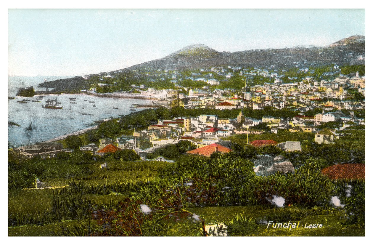Funchal, Madeira, principios del siglo XX de Unbekannt