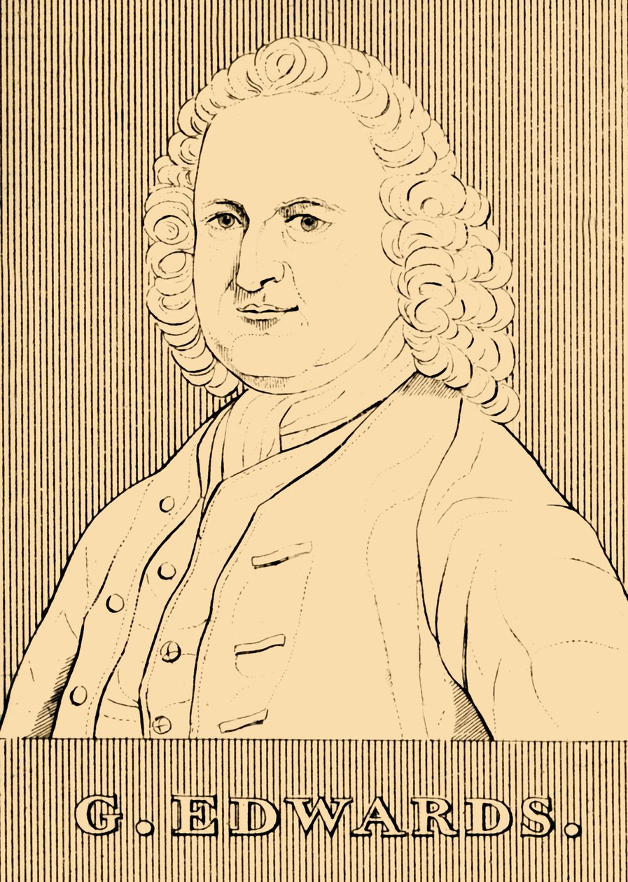 G. Edwards, 1694-1773, 1830 de Unbekannt